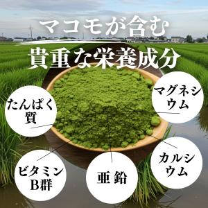 まこも 粉末 800g×10個 マコモ 真菰 ...の詳細画像5