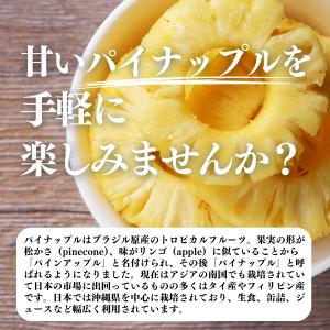 パイナップル パウダー 500g×10個 フル...の詳細画像2