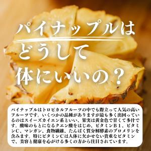 パイナップル パウダー 500g×10個 フル...の詳細画像3