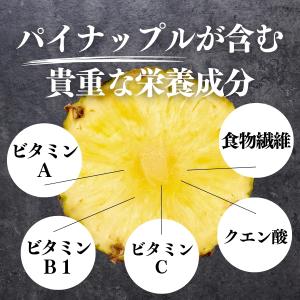 パイナップル パウダー 500g×10個 フル...の詳細画像5