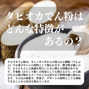 タピオカ でん粉 1kg×10個 タピオカ粉 ...の詳細画像2