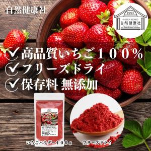 いちごパウダー 100g×10個 ストロベリー...の詳細画像1