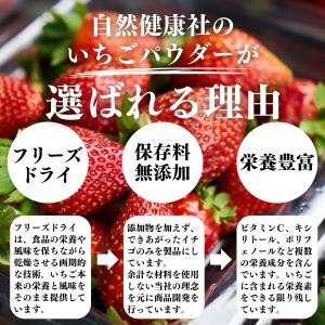 いちごパウダー 100g×10個 ストロベリー...の詳細画像4