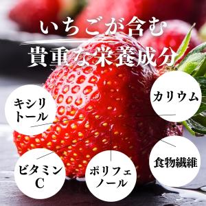 いちごパウダー 100g×10個 ストロベリー...の詳細画像5
