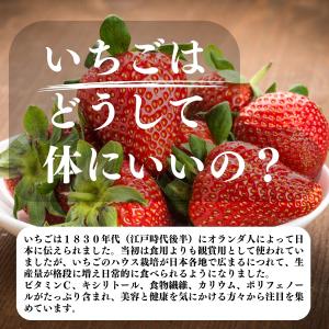 いちご フリーズドライ 60g×10個 乾燥 ...の詳細画像3