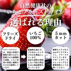 いちご フリーズドライ 60g×10個 乾燥 ...の詳細画像4