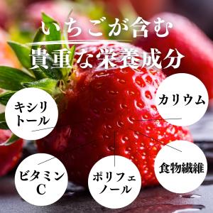 いちご フリーズドライ 60g×10個 乾燥 ...の詳細画像5