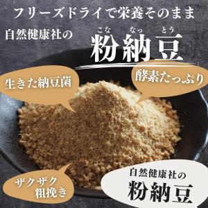 粉納豆 100g×10個 粉末 粗挽き 粉末 ...の詳細画像1
