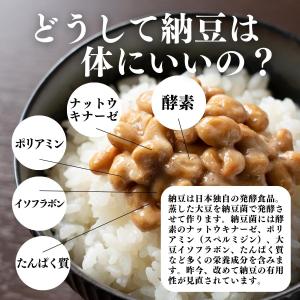粉納豆 100g×10個 粉末 粗挽き 粉末 ...の詳細画像2