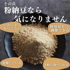 粉納豆 100g×10個 粉末 粗挽き 粉末 ...の詳細画像4