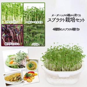 スプラウト 栽培のランキングtop100 人気売れ筋ランキング Yahoo ショッピング