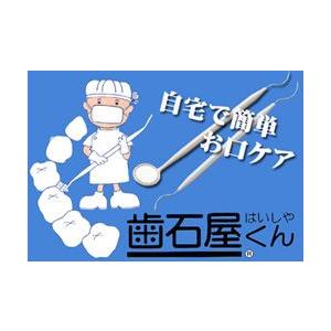 歯石屋くん デンタルケア ステイン 歯垢 ヤニ 除去 歯 掃除具 口臭ケア 口臭対策 オーラルケア