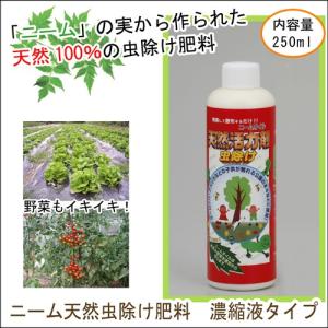 ニームオイル 虫除け 花 ガーデニング の商品一覧 通販 Yahoo ショッピング