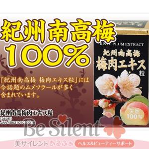 紀州南高梅肉エキス粒 350粒(7個ご注文で1個...の商品画像