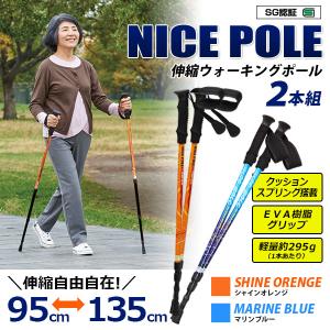 転びにくい歩行姿勢に導く2本杖 歩行サポート杖 SOZA ソーザ 伸縮 軽量 