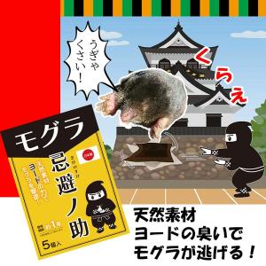 忌避ノ助 モグラ用×2個セット 忌避剤 庭 畑...の詳細画像1