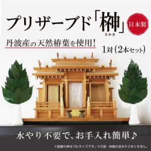 プリザーブド 榊 さかき Mサイズ プリザーブ...の詳細画像1