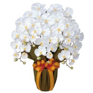 光の楽園 エレガント胡蝶蘭5本立W 452A80 人工観葉 フェイクグリーン 造花 光触媒 観葉植物...