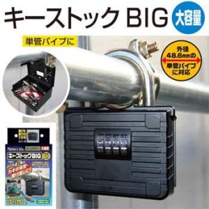 キーストックBIG NS-1264 錠 ロック かぎ キーボックス 防犯 セーフティ 防犯関連グッズ 小物 一時保管 伝言メモ紙 メモリースティック 自動車キー カードキー｜hl1