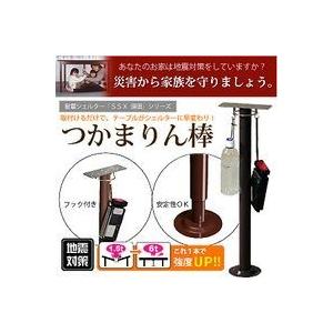 地震対策用 エコルート「耐震シェルター」 タイプ1 標準タイプ 耐荷重