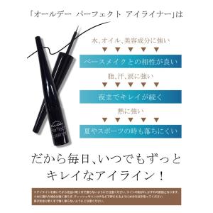 8月末から順次出荷 アイライナー リキッドアイ...の詳細画像3