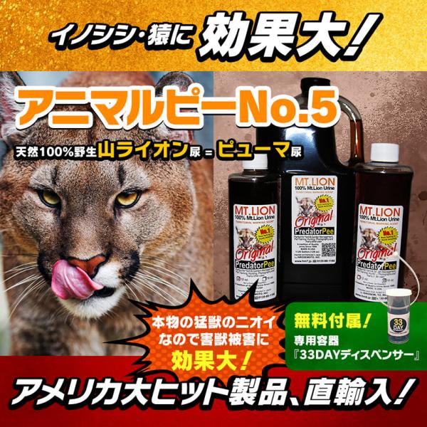 天然100％野生 山ライオン尿 イノシシ 猿 鹿など害獣 動物駆除 アニマルピーNo.5(天然 山ラ...