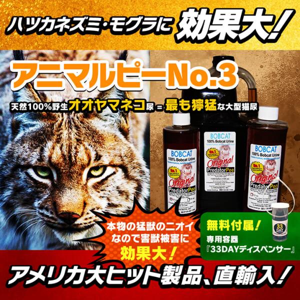 天然100％野生オオヤマネコ尿 ネズミ(天井裏 屋根裏 床下 屋外)モグラ害獣駆除 アニマルピーNo...