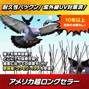 害鳥撃退 Newバードスパイク 紫外線UV対策済み頑丈 高耐久性 簡単設置 カラス ハト野良猫コウモリ ハクビシン イタチ タヌキ対策