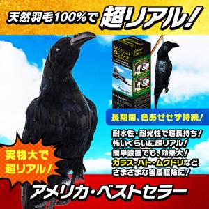 害鳥対策 天然羽毛 実物大 超リアル 簡単設置 カラス ハト ムクドリ ヒヨドリ スズメ ツバメ New防鳥クローンカラスVS102