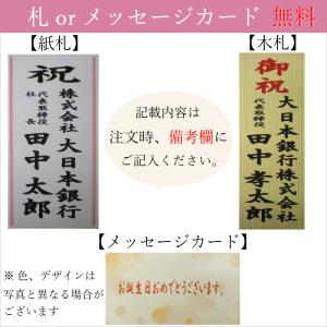 プレミアム 胡蝶蘭 大輪 10本立 120輪以...の詳細画像4