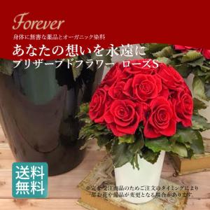 プリザーブドフラワー ローズS/おしゃれ ドライ...の商品画像