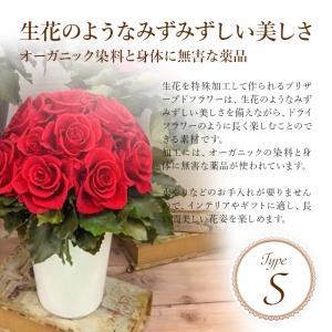 プリザーブドフラワー ローズS/おしゃれ ドラ...の詳細画像2