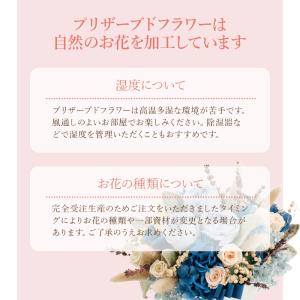 プリザーブドフラワー ローズS/おしゃれ ドラ...の詳細画像5