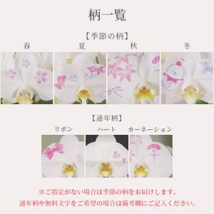 化粧蘭 胡蝶蘭 5本立 春夏秋冬 絵柄 プレゼ...の詳細画像2