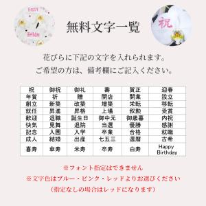 化粧蘭 胡蝶蘭 5本立 春夏秋冬 絵柄 プレゼ...の詳細画像3