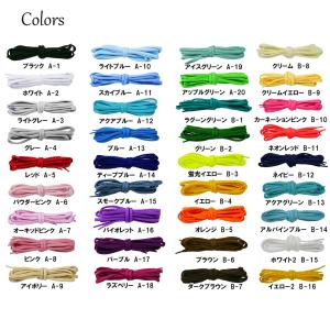 オーバル シューレース SHOELACE スケ...の詳細画像1