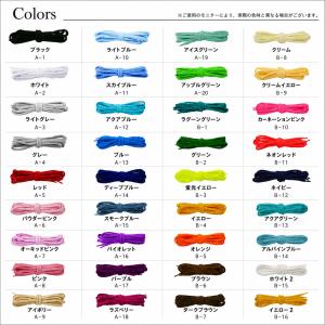 オーバル シューレース SHOELACE スケ...の詳細画像1
