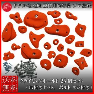 本格派 クライミングホールド ボルト 爪付きTナット