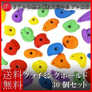 プロ仕様 カラー クライミングホールド 30個セット ボルダリング
