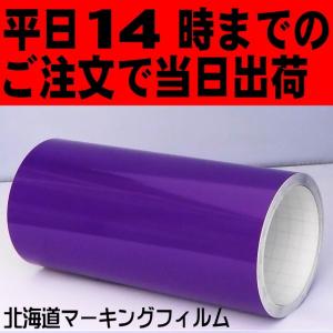 バイオレット  ポートレート／CAMEO 22cm幅×10ｍ カッティング用シート