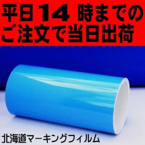 スカイブルー  ポートレート／CAMEO 22cm幅×10ｍ カッティング用シート