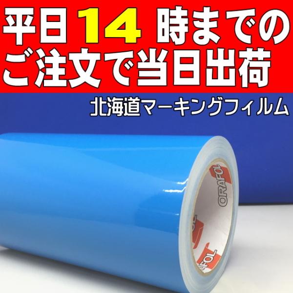 スカイブルー徳用20ｍ巻 ステカSV-8(20cm幅) カッティング用ステッカーシート【屋外３〜４年...