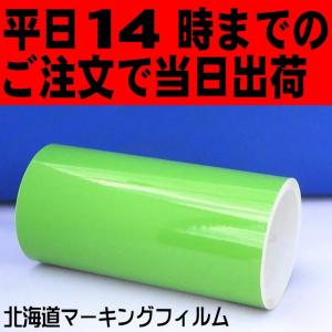 ライム  ポートレート／CAMEO 22cm幅×10ｍ カッティング用シート 【屋外3〜4年】｜hmfshop