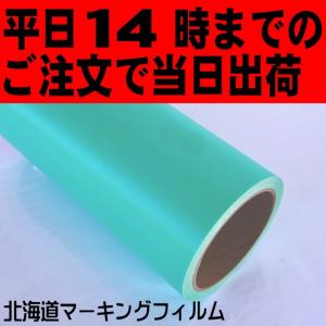 塗装用マスキングシート    シルエットカメオレターサイズ用22cm幅×10mロール