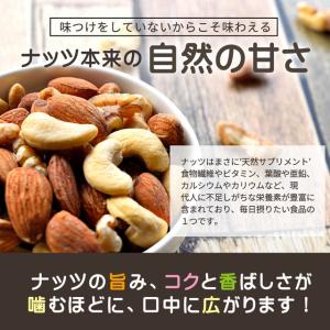 ナッツ アーモンド 100g 500円 送料無...の詳細画像4