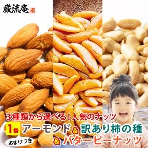 ナッツ アーモンド 訳あり 500円 送料無料 3種から 選べる  100g 割れ 柿の種 200 ポイント利用 お試し商品 サンプル ホワイトデー