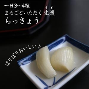 らっきょう らっきょう漬け 500円 ラッキョ...の詳細画像1