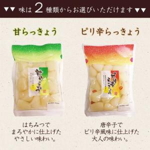 らっきょう らっきょう漬け 500円 ラッキョ...の詳細画像3