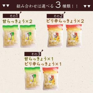 らっきょう らっきょう漬け 500円 ラッキョ...の詳細画像4