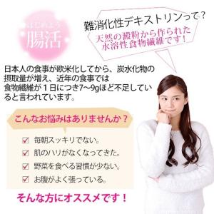 デキストリン 消化性 1kg 送料無料 難消化...の詳細画像1
